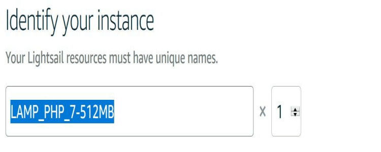 instance name