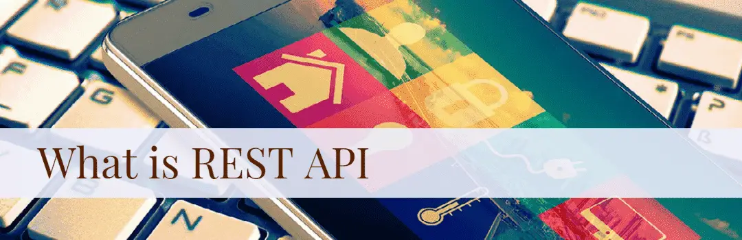 What is rest api
